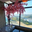 시메르 여수 이미지