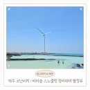 해변PC | 제주 코난비치 스노쿨링 7월 재방문 코난해변 스노클링 장비 대여 파라솔 월정뷰게스트하우스