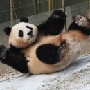 뒹굴뒹굴 이미지