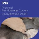 다올pet | [ICAHA] 반려견 전문가들을 위한 펫마사지 코스_ 다올 반려견 유치원
