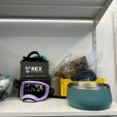 피그독 | 부산 유일 러프웨어 취급 애견용품 매장 피그독 구매 후기