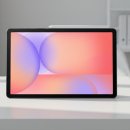 SM유통 | 갤럭시탭 S10 라이트 SM-X400 S펜 포함 인강용·학습용 태블릿 128GB WiFi 전용