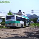 세왕