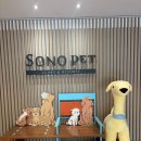 진로마트 개방화장실 | 소노펫 비발디파크 룸컨디션, 루지, 지하마트 매점 가격 내돈내산 솔직후기