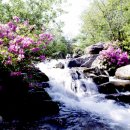 산너머 민박 이미지