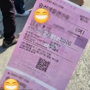 보길도 쉼표 | 보길도 가는 방법 & 배시간 정리 해남 땅끝항에서 출발
