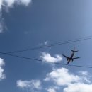 새별따라