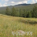 초원사진 이미지
