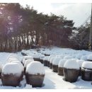 소탐농장 이미지