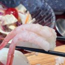 현대백화점 신촌점 | 신촌 현백 맛집 스시도쿠 현대백화점 신촌점 후기