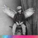 패러그린 이미지