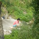 달천교 옆 이미지