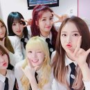 탕탕탕 뉴스엔