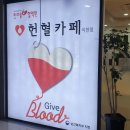 헌혈카페 티스토리