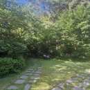 숲속의 펜션 이미지