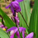 풍경하루 이미지