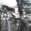 도명 이미지