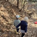 들풀 | 청계산 아래 들풀 씨앗반 숲수업 후기 : 낙엽 썰매·자연물 액자 만들기