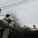 철도정보통신