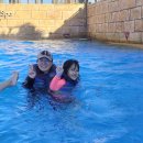 캠프도고 이미지