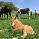 진흥축산 이미지