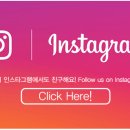 도그스토리 이미지