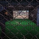 맛찬들왕소금구이 사상점 이미지