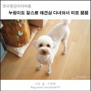 누렁이도 찰스로 애견샵 이미지