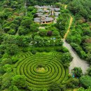 녹차미로와 버섯카페가 있는 보성 골망태 이미지