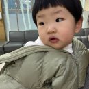 13개월 아기 돌치레 고열 폐렴 돌발진 노로바이러스 로타바이러스 입원 치료 후기