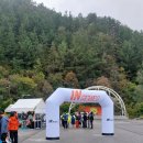 철암초등학교 | 반려견과 함께한 태백 IN SERIES 트래킹 가이드