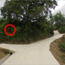 안성면102 이미지