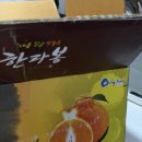 라봉농원 네이버블로그