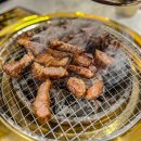 금성숯불갈비 | 대전 둔산동 고기집 추천! 숯불 양념갈비 맛집 금성회관 다녀온 후기