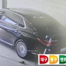 덴트LEE