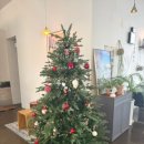 트루커피 이미지