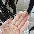 레몬바디케어 | 샴푸추천 천연샴푸 바디허벌즈 레몬향 두피케어 후기
