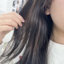 주안장식 | [서울/합정] 합정 미용실 템드헤어룸 헤어 클리닉 주안쌤 후기