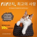 태종동물병원 이미지