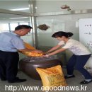순천황전농민회