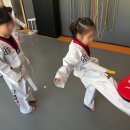 효자 태권도장 이미지