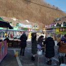 태백산 눈꽃 축제 볼거리 입니다.