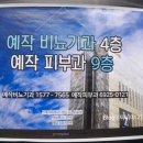 더포레스트스킨 이미지
