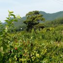 당호농장 이미지