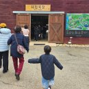 상하시온농장2 | 고창 상하농원 동물농장 체험목장 6세 남아 체험 후기