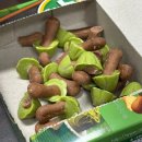 운산농장 | 2025년 11월 정리 허겁슨 지겁슨 갑차기스럽게 (강제)연말 맞이 준비중