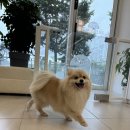 해나동물병원 이미지
