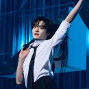 개귀여워 이미지