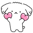 엄지애견미용 이미지