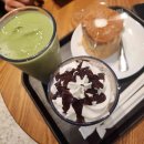 바이올독 푸드 이미지